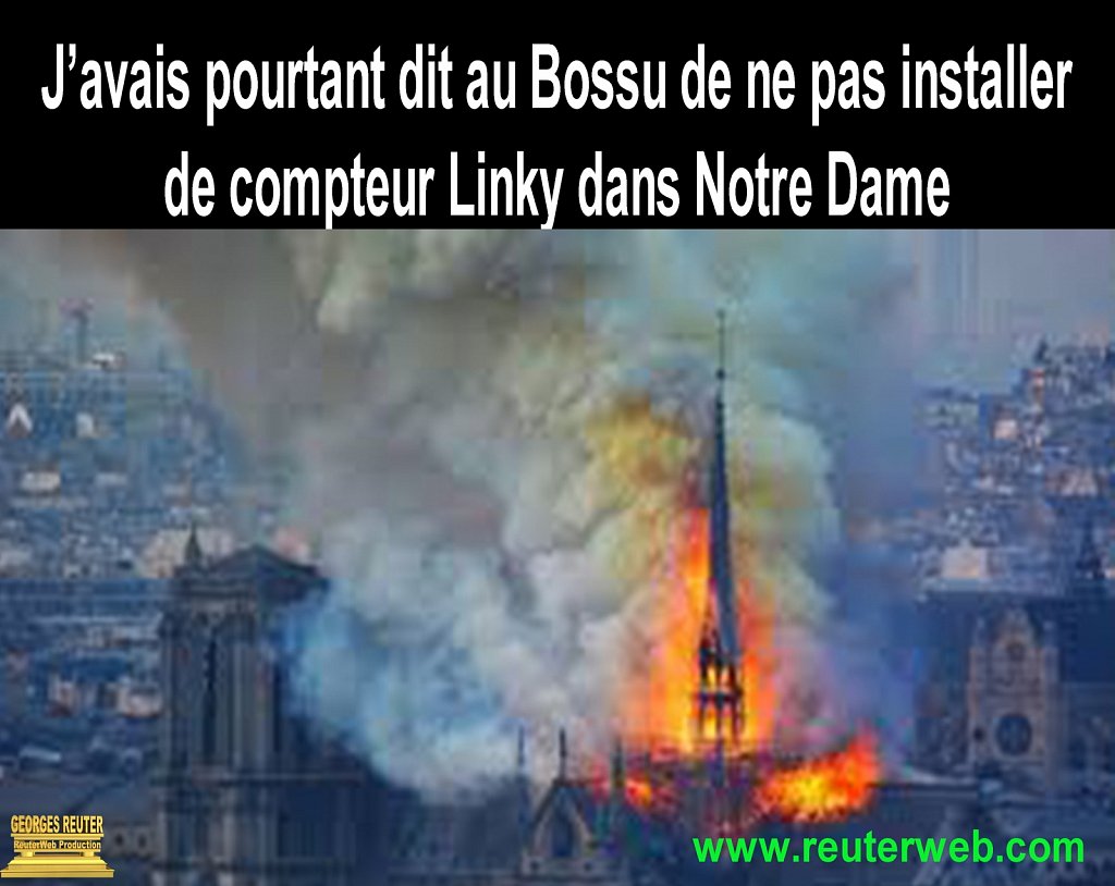 ReuterWeb-Linky-Notre-Dame.jpg